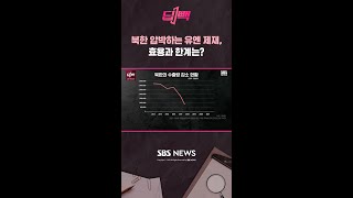 북한 압박하는 유엔 제재, 효용과 한계는? / 비디오머그 / 딥빽 #shorts