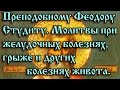 57.Преподобному Феодору Студиту. Молитва от желудочных болей.