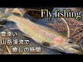 【Fly  fishing】2020雪深い山岳渓流でフライフィッシング