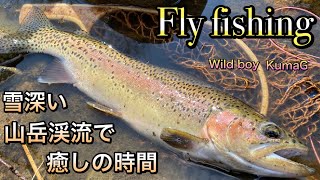 【Fly  fishing】2020雪深い山岳渓流でフライフィッシング