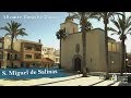 SAN MIGUEL DE SALINAS. Alicante town by town