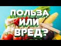 Дарья Орион. Вегетарианское мракобесие.