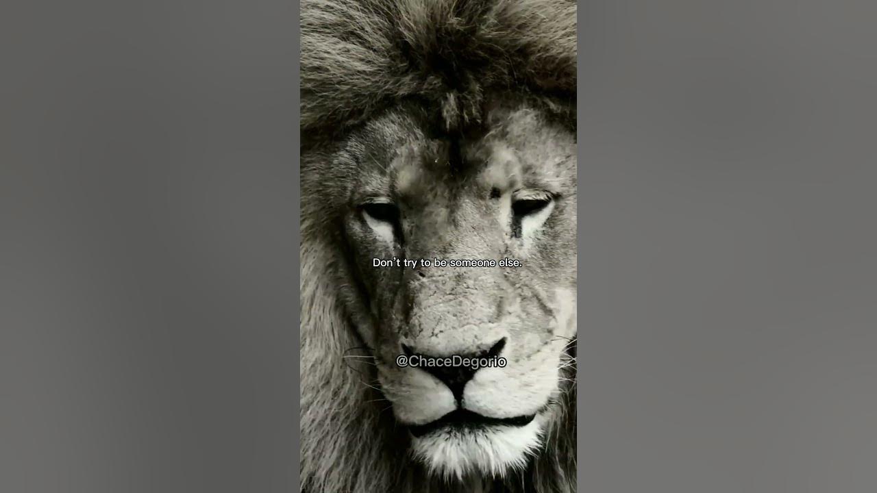 THE LION'S PRIDE - Motivational Speech