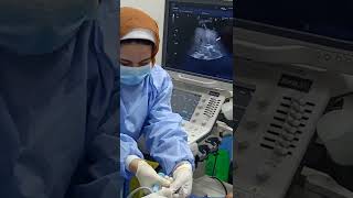 Ultrasound guided aspiration of peri hepatic abscess.Dr. El Sayed Imam NHTMRI Cairo Egypt.
