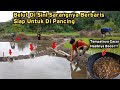 BUKAN MAIN!! MANCING BELUT DI SINIH 1 JAM DAPAT 2 KG LEBIH GIMANA GAK IRI BOOS