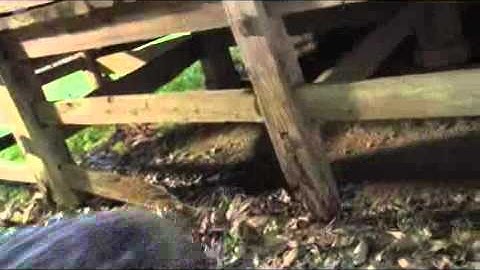 『女忍 KUNOICHI』 予告編