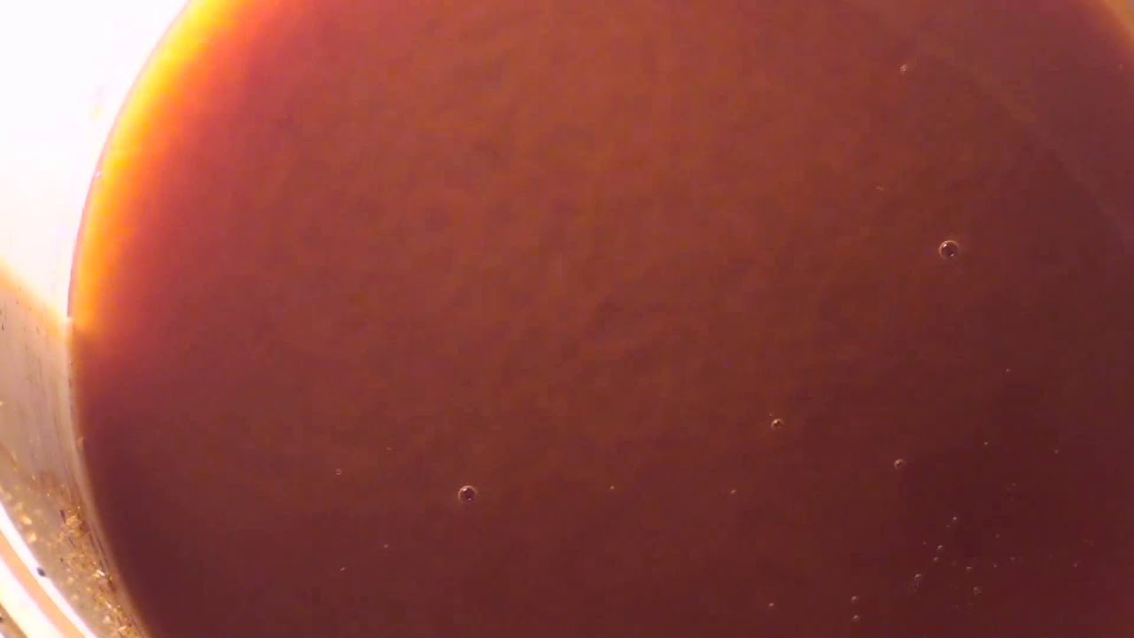 Making Shellac - YouTube