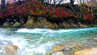 Autumn Scene of Turquoise River Water Relaxing Sounds/ Sleep/ Study/ Meditation/ Anxiety 10 Hours. by Nature Zilla 14,733 views 2 years ago 10 hours, 5 minutes