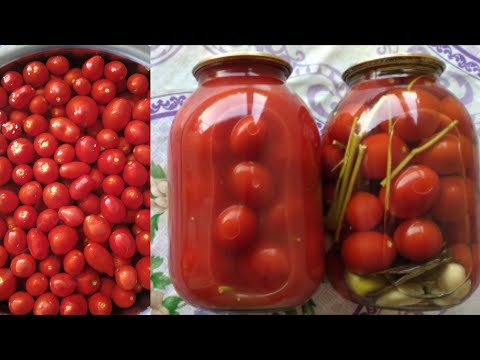 Video: Pomidorda qilish va qilmaslik: mavsum oxirida pomidor bilan kurashish