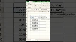 useful weekday FUNCTION #excel #exceltutorial #foryou