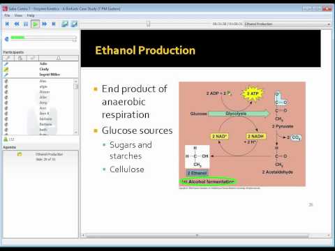 Enzyme Kinetics: A Biofuels Case Study