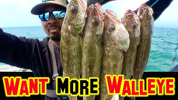 Simple Trolling Tips to CATCH more WALLEYE!