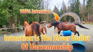 Intention Is The Silver Bullet Of Horsemanship