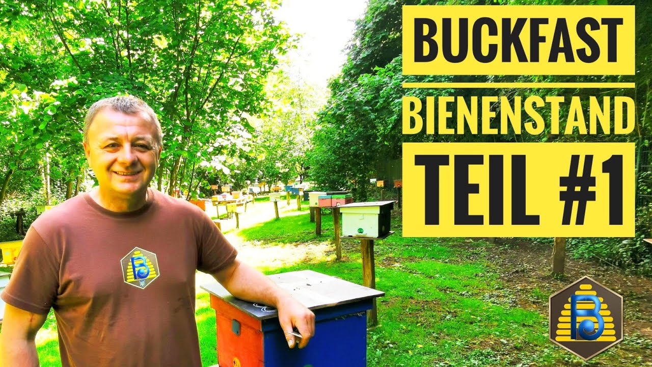 #Buckfast Königinnenvermehrung und Bienenstand | Teil #1| #Bienendom