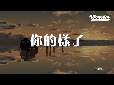 王小宁 - 你的样子「不变的你伫立在茫茫的尘世中 聪明的孩子提着易碎的灯笼」【動態歌詞/pīn yīn gē cí】#王小宁 #你的样子 #動態歌詞