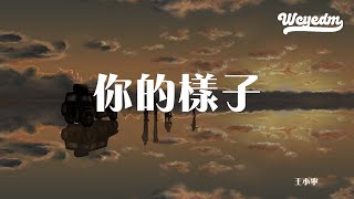王小宁 - 你的样子「不变的你伫立在茫茫的尘世中 聪明的孩子提着易碎的灯笼」【動態歌詞/pīn yīn gē cí】#王小宁 #你的样子 #動態歌詞