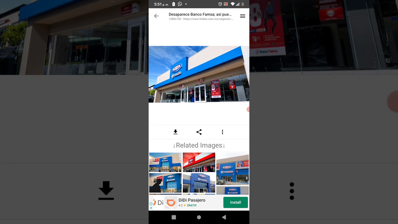 PORQUE DESAPARECIO FAMSA