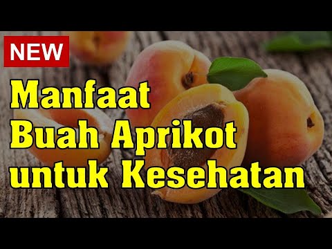 Video: Manfaat kesihatan dan bahaya aprikot