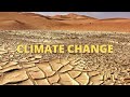 How deforestation affects the water cycle & climate change