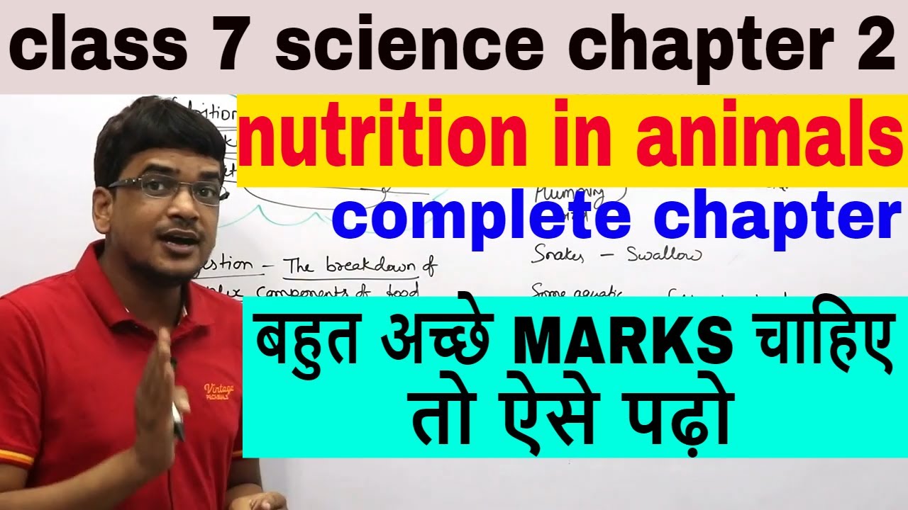 nutrition in animals class 7 science chapter 2 in hindi \english - YouTube