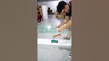 LÀM LỌC TRÀN TRÊN CHO BỂ CÁ CỰC KHỦNG 1 MÉT 7