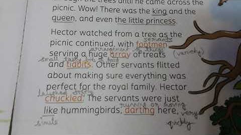 Hector Hummingbird Part 2