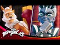 MIRACULOUS рџђћ WEREPAPAS Akumatized рџђѕ SEASON 6 Tales Of Ladybug Cat Noir MIRACULOUS рџђћ WEREPAPAS Akumatized рџђѕ SEASON 6 Tales Of Ladybug Cat Noir