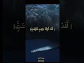 سورة النور آية 45 46 حوت العنبر 