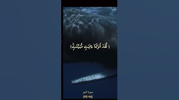 سورة النور  آية[45-46] +حوت العنبر