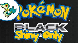 ✨ Only Shiny ✨ !comandos Pokemon Black , Snivy 5 (only portuguese chat) 🔴