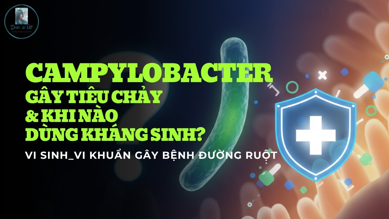 Vi sinh_Vi khuẩn gây bệnh đường ruột Phần 6: Campylobacter | Tiêu chảy & Khi nào dùng Kháng sinh?
