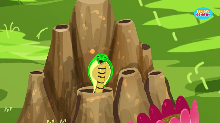 The Snake and The Parrot