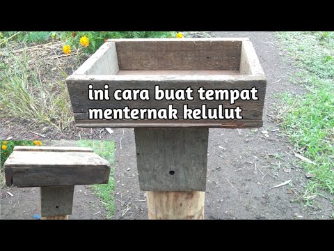 Membuat Tempat Madu Kelulut Rumah Kelulut Kotak Kayu Youtube