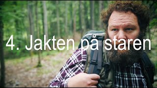 4. Jakten på staren