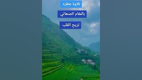 تلاوة عطرة بالمقام الصنعاني