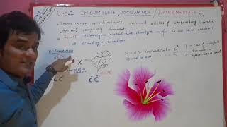 Xii Botany Ch Lecture Incomplete Dominance By Dileep Kumar Kataria