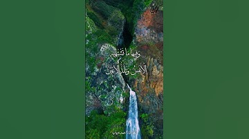 راحة و طمأنينة القارئ أحمد دياب