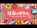 【花の図鑑】季節を彩るお花21種類！知育アニメ【赤ちゃん・子供向け】Flower picture book for kids