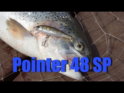 Ловля радужки на Pointer 48SP