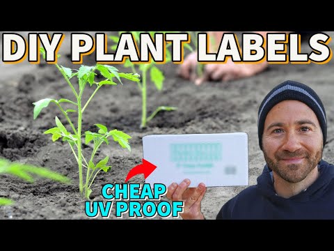 Videó: Kreatív módszerek a növények címkézésére: házi készítésű növényjelölők, amelyeket ki kell próbálnia