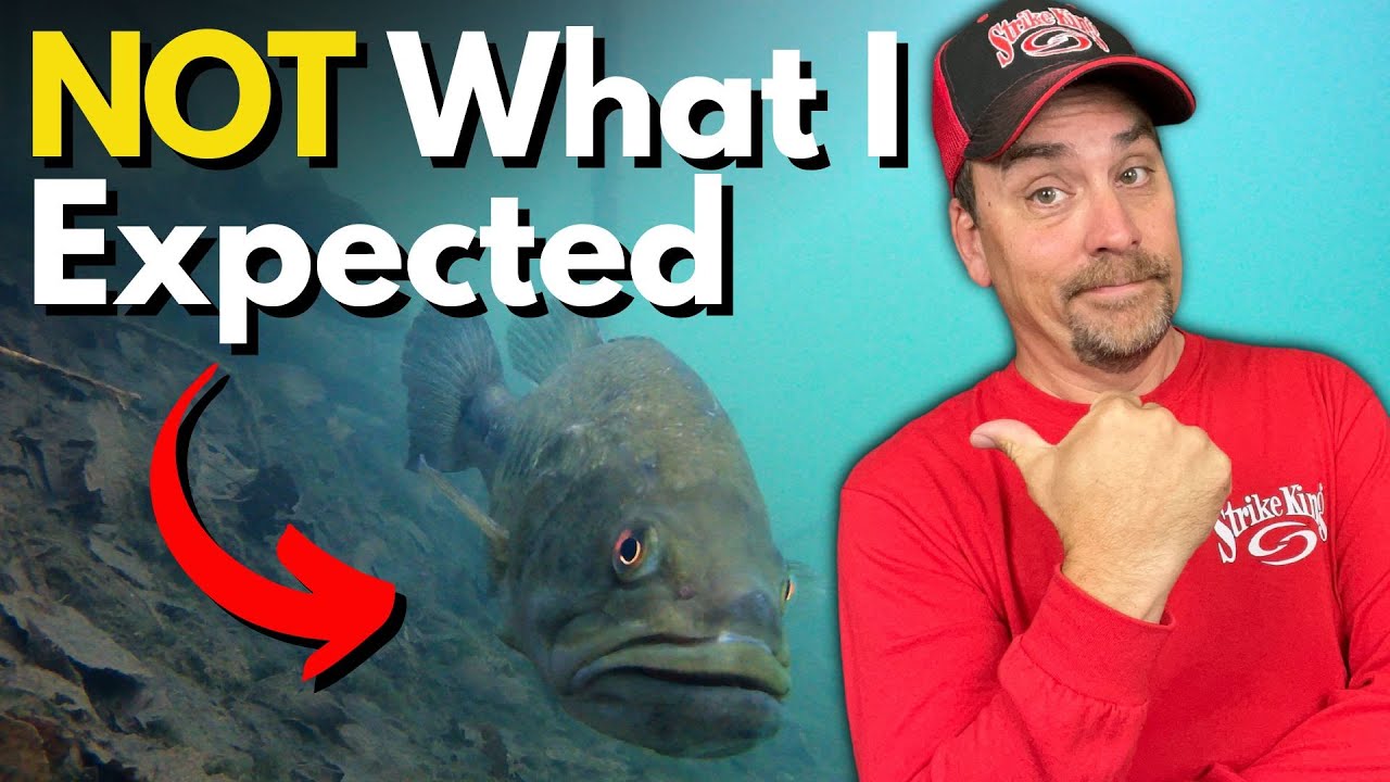 The 1 Bass Spawning Behavior I DIDN'T Expect (Dock Cam Footage)