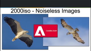 Photoshopacr - New - Ai Denoise