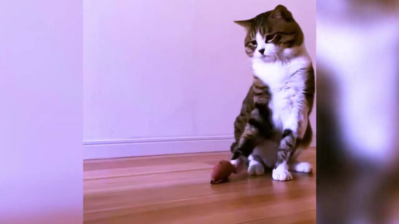 Smelly and Cute Little Monster😂 - YouTube