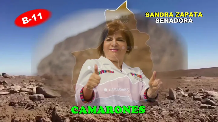 jingle sandra zapata