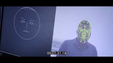 Evaluación de la respuesta del consumidor usando 3D Head Tracking