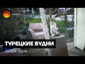 Турецкие будни. Детский сад. Море. Кошачий дом