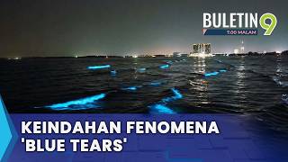 'Air Mata Biru' Fenomena Alam Yang Memukau (B9)