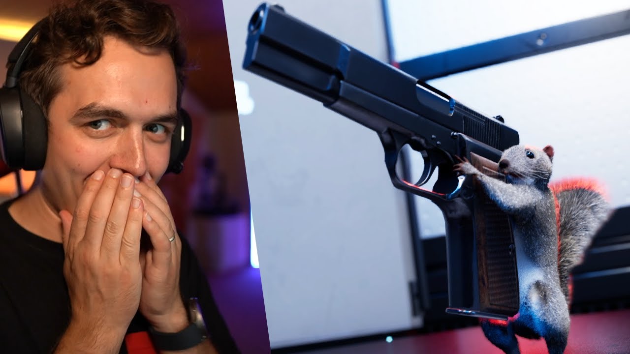 Veverka se ZBRANÍ 🔫🐿️