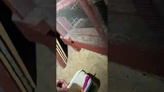 Cat's Platform Jump Ends With a Bump