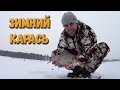 Клюет ли карась зимой? Ловится! На голую мормышку и с мотылем!